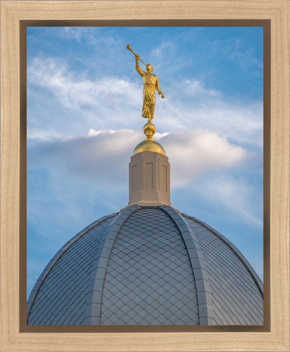 Tucson Moroni Dome Gallery Wrap
