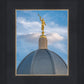 Tucson Moroni Dome