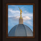 Tucson Moroni Dome