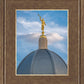 Tucson Moroni Dome