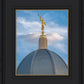Tucson Moroni Dome