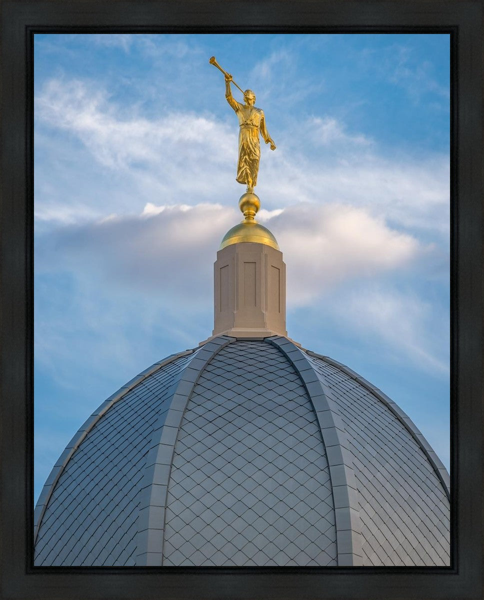 Tucson Moroni Dome Gallery Wrap