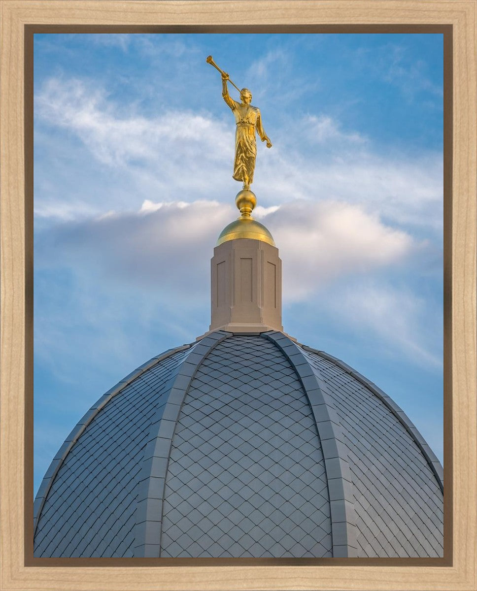 Tucson Moroni Dome Gallery Wrap