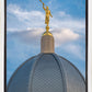 Tucson Moroni Dome