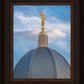 Tucson Moroni Dome