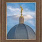 Tucson Moroni Dome