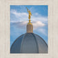 Tucson Moroni Dome