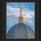 Tucson Moroni Dome