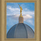 Tucson Moroni Dome