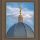 Tucson Moroni Dome