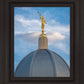 Tucson Moroni Dome