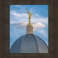 Tucson Moroni Dome