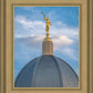 Tucson Moroni Dome