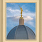 Tucson Moroni Dome