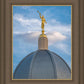 Tucson Moroni Dome