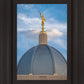 Tucson Moroni Dome