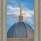 Tucson Moroni Dome