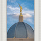 Tucson Moroni Dome