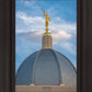 Tucson Moroni Dome