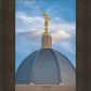 Tucson Moroni Dome