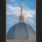 Tucson Moroni Dome