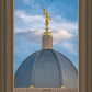 Tucson Moroni Dome