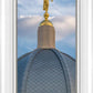Tucson Moroni Dome