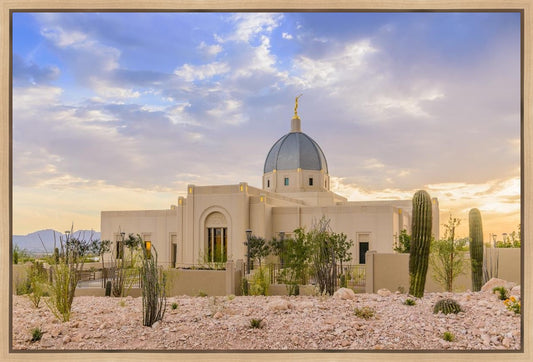 Tucson Deseret