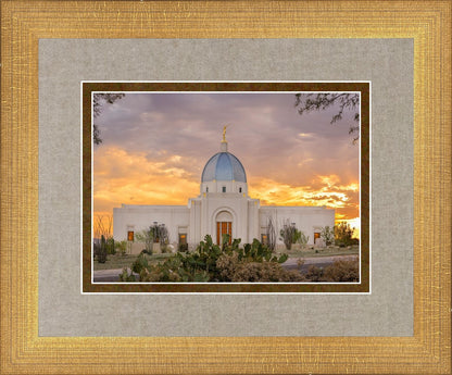 Tucson Valley of Fire