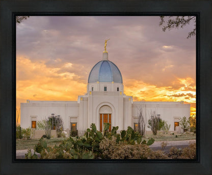 Tucson Valley of Fire