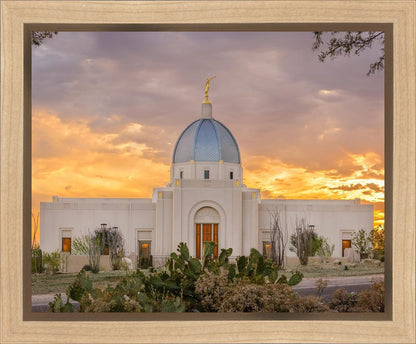 Tucson Valley of Fire