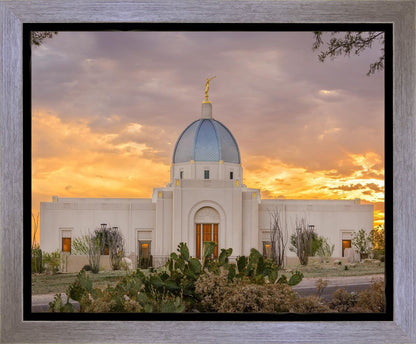 Tucson Valley of Fire