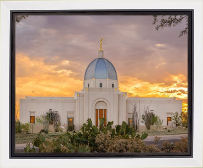 Tucson Valley of Fire