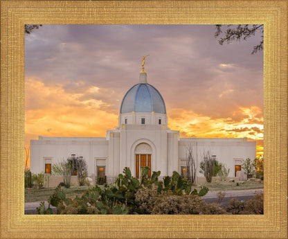 Tucson Valley of Fire