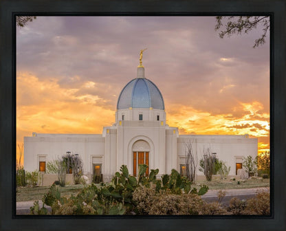 Tucson Valley of Fire