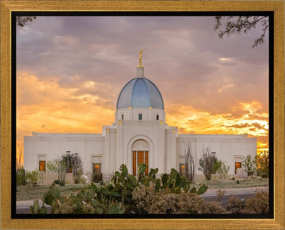 Tucson Valley of Fire