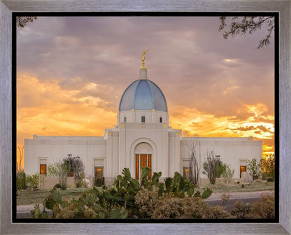 Tucson Valley of Fire