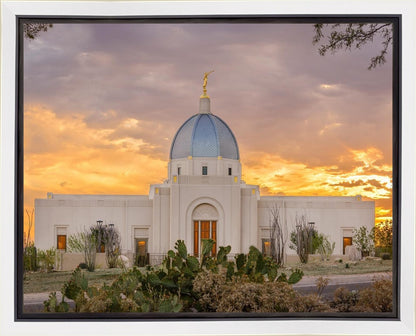 Tucson Valley of Fire