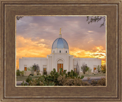 Tucson Valley of Fire