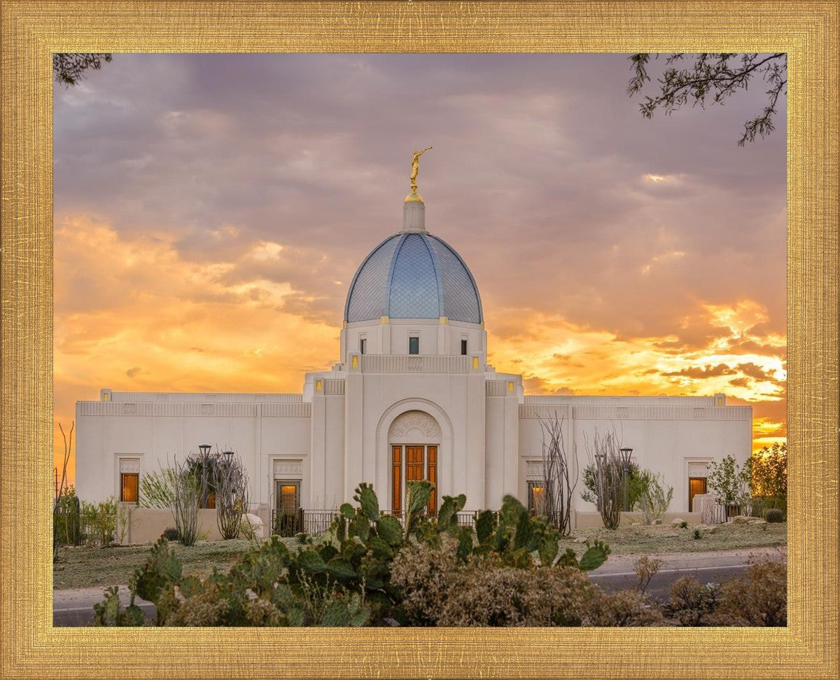 Tucson Valley of Fire