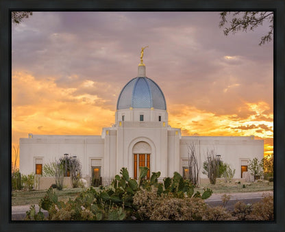 Tucson Valley of Fire