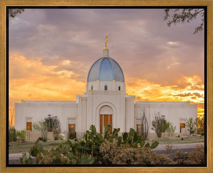 Tucson Valley of Fire