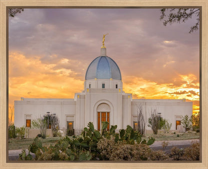 Tucson Valley of Fire