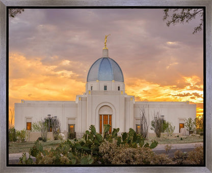 Tucson Valley of Fire