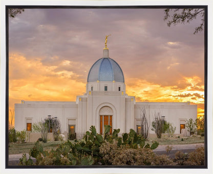Tucson Valley of Fire