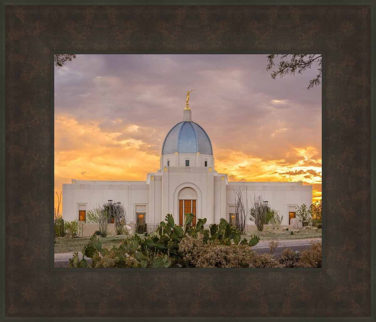 Tucson Valley of Fire