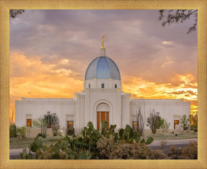 Tucson Valley of Fire