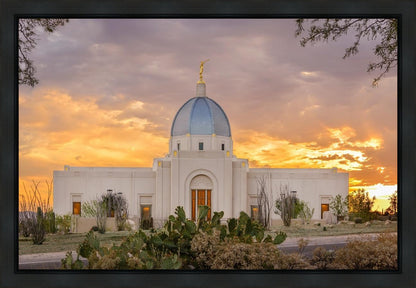 Tucson Valley of Fire