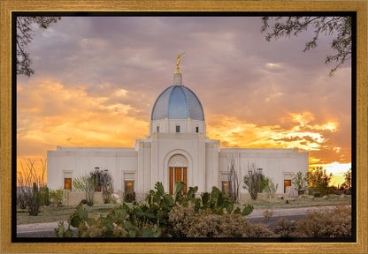 Tucson Valley of Fire