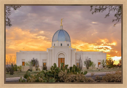 Tucson Valley of Fire